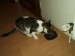 Thumbs/tn_Jacky 015.jpg